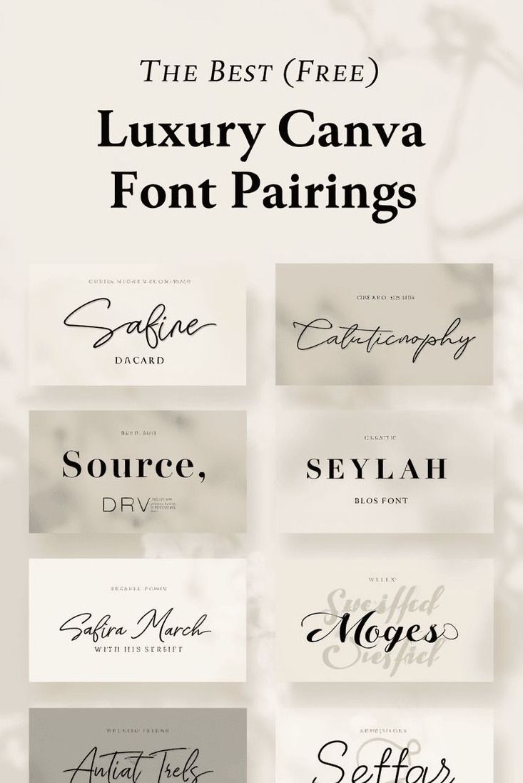 Discover 10 Elegant Fonts Free to Elevate Your Canva Designs