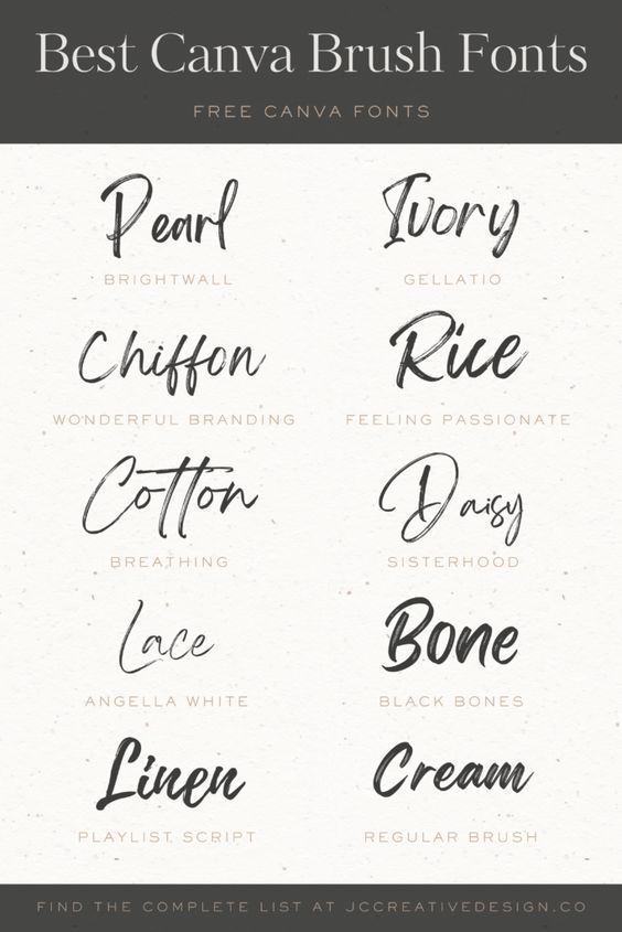 🎨 Free Round Cursive Fonts | Top Script Font Picks for Designers & Creatives in 2024