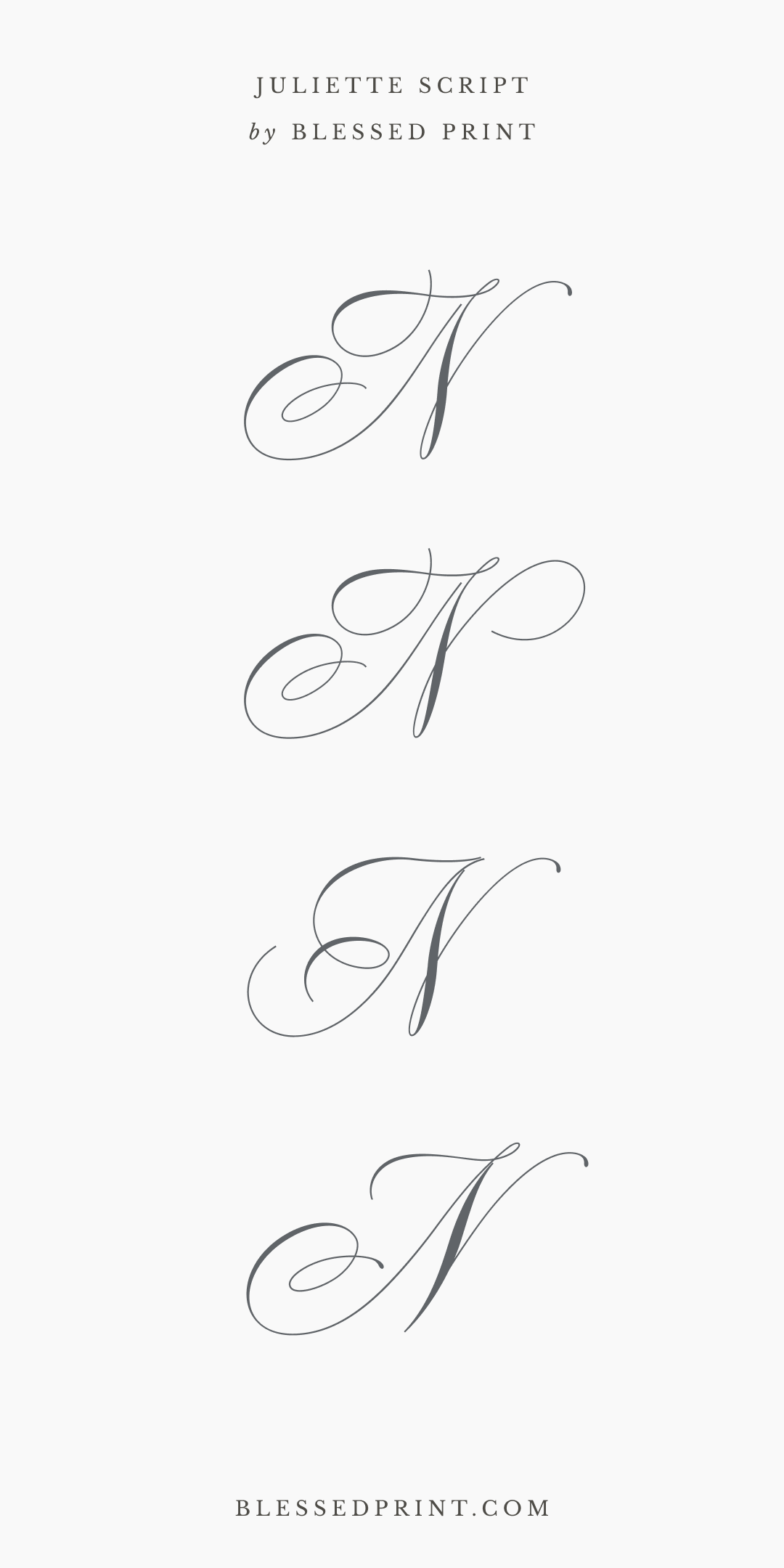 Juliette Script & Ecatherina Script – Elegant Letter N Variations