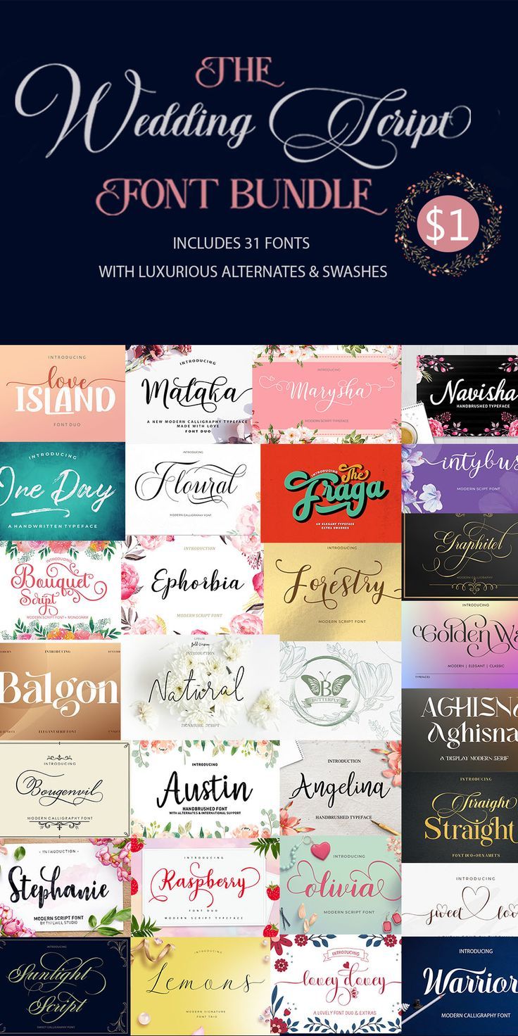 Bundles Creative Fabrica