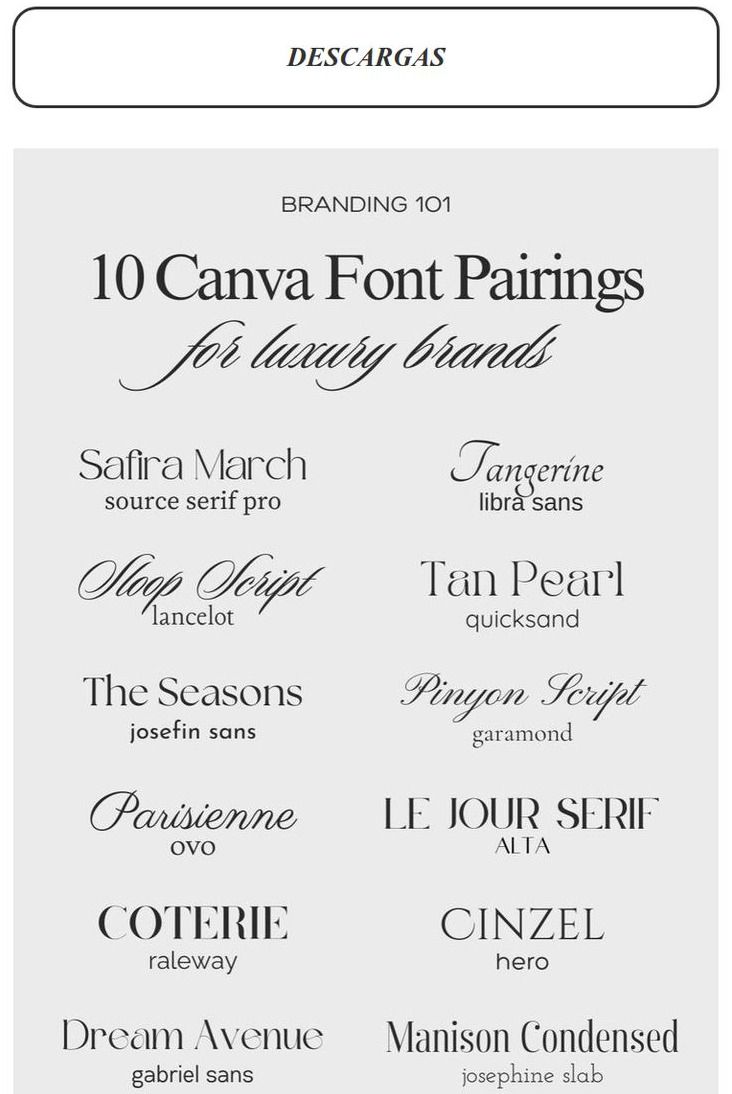 The best vintage fonts to elevate your branding projects instantly