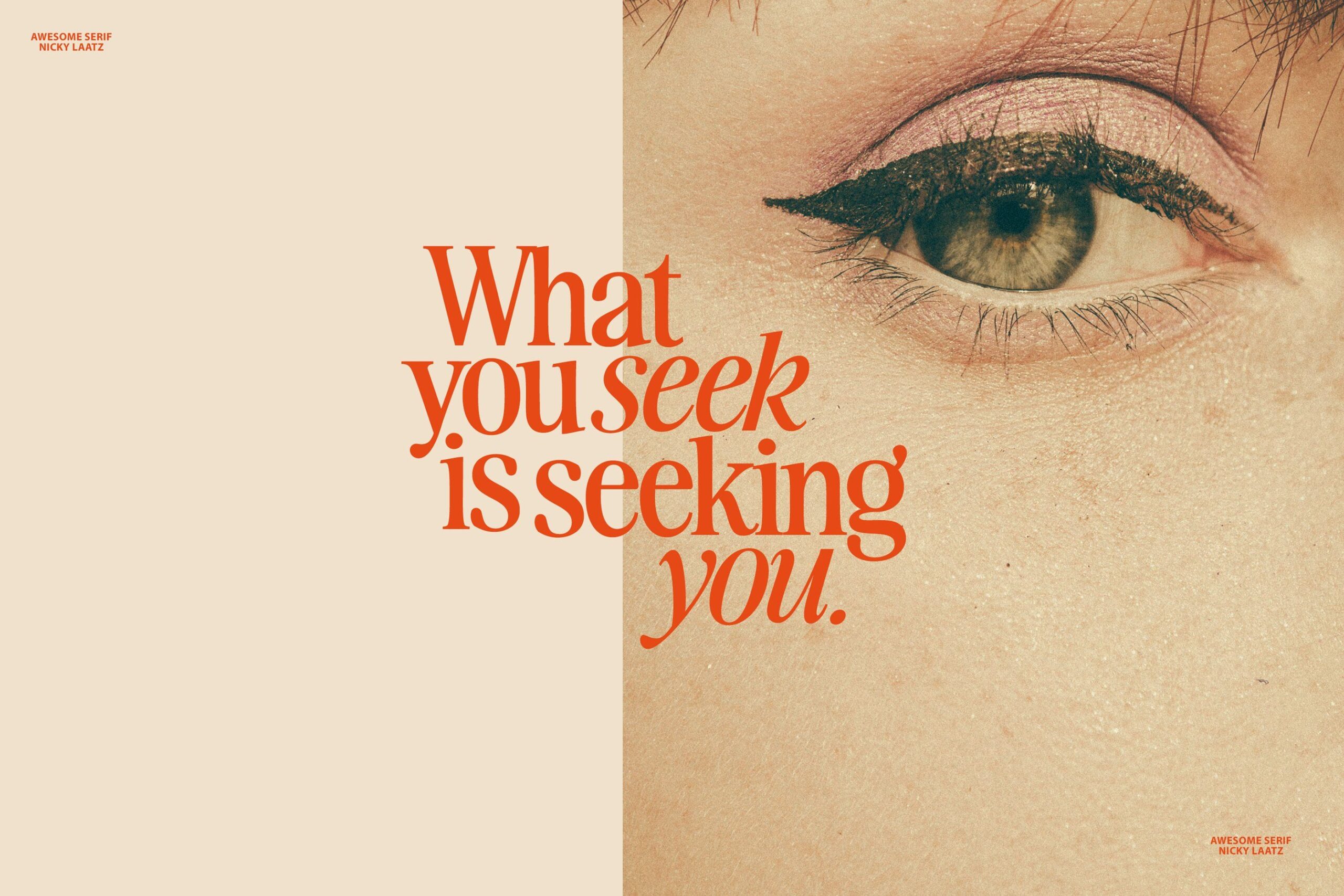 The Awesome Serif Family (32 Fonts)