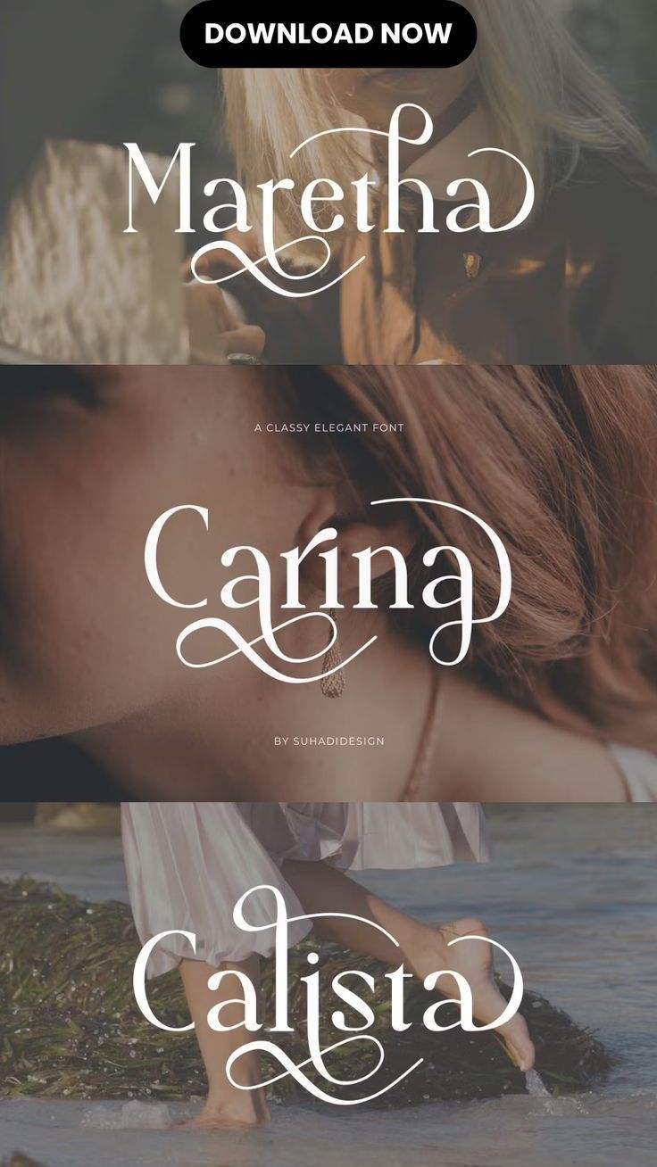 Carina Font | Creative Fabrica🖤