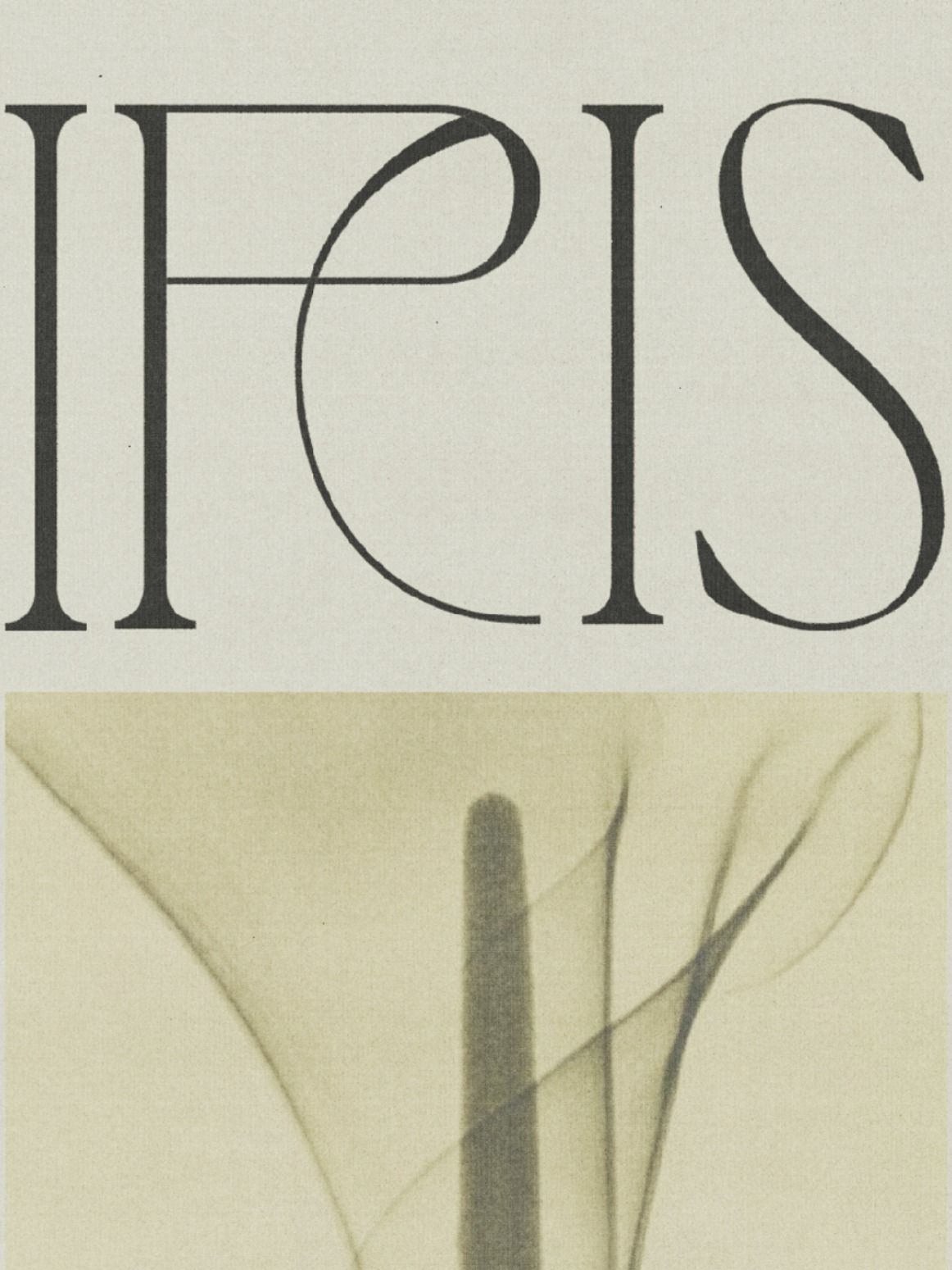 A Creative Typography Experimentation for an Organic, Natural Skincare Brand — Labels Studio.