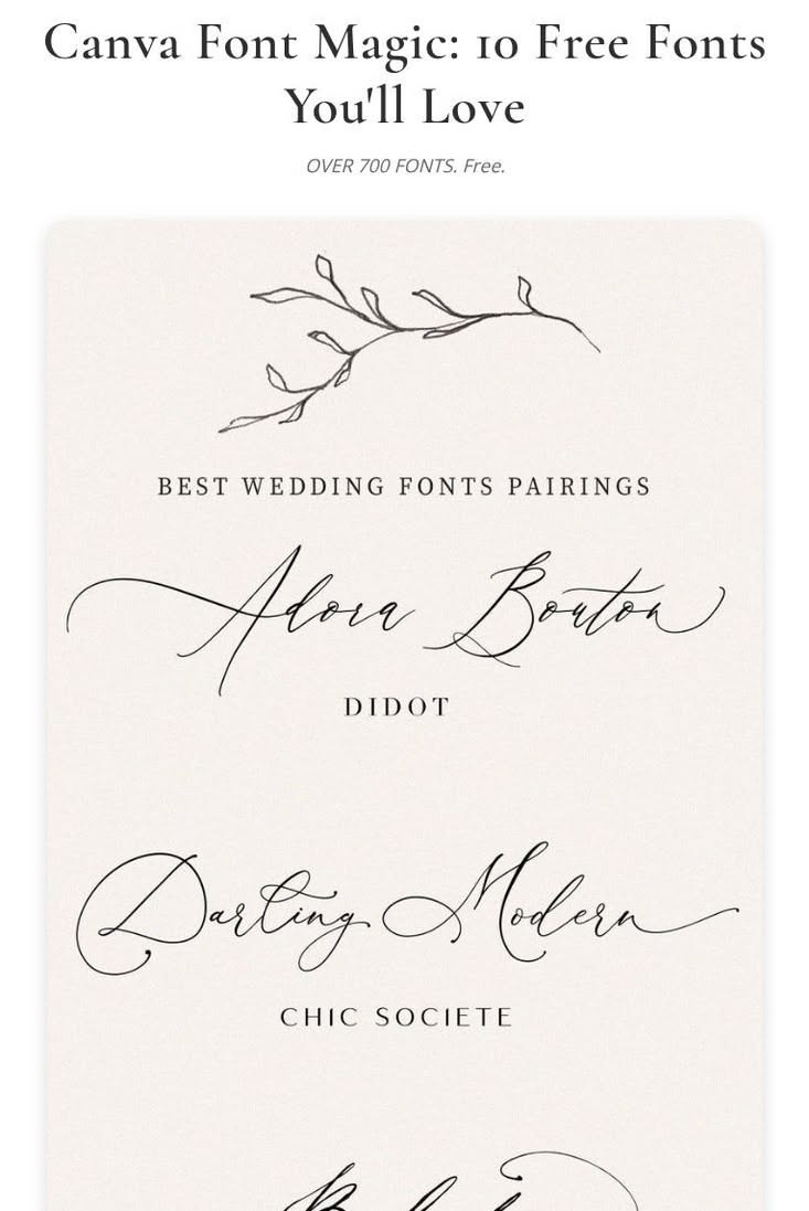 Canva Font Magic: 10 Free Fonts You’ll Love