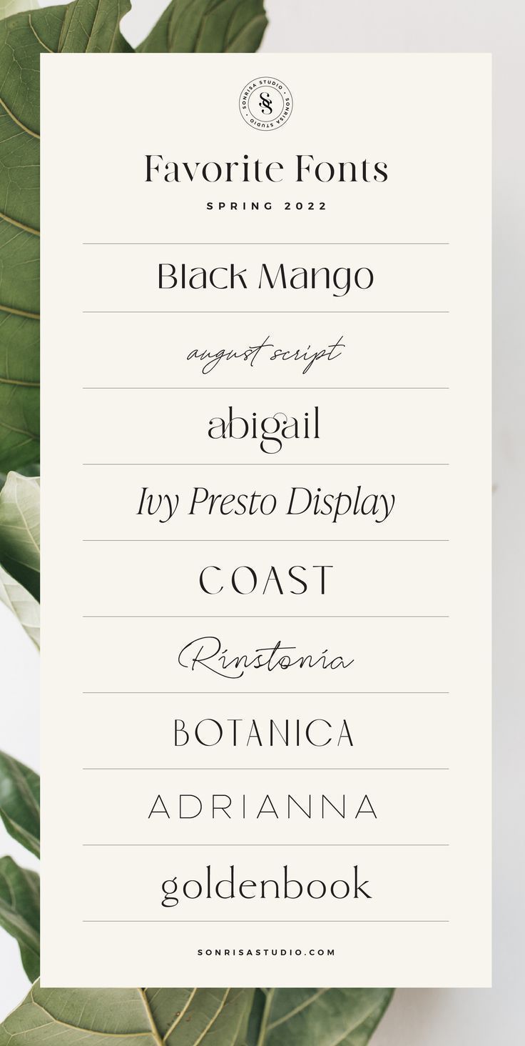 Spring’s Top Fonts: Elegant & Modern🔺