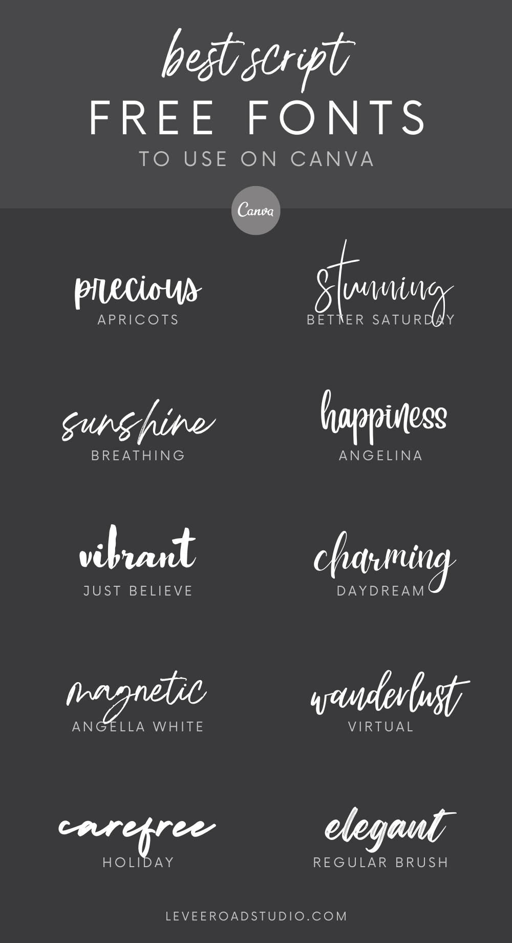 Free Handwritten Fonts for Typography, Weddings, and Calligraphy🩸