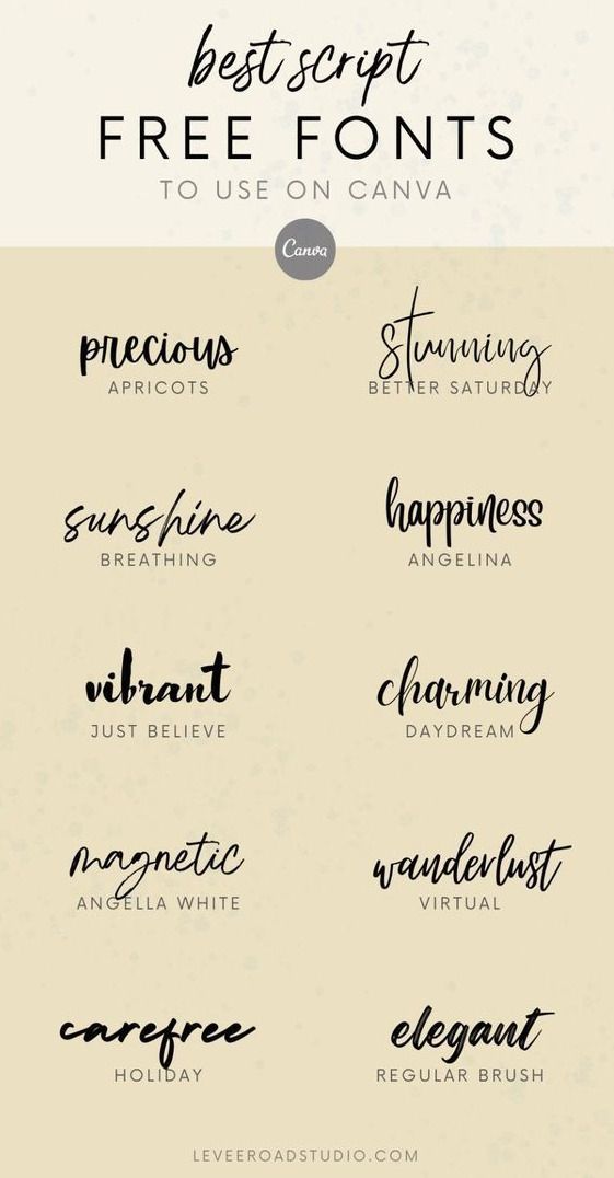 Trendy Fonts for 2024: Elevate Your Designs with the Latest Typography Trends |