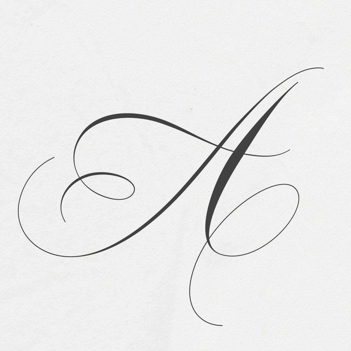 Juliette Script Font – Elegant Calligraphy Letter A😎