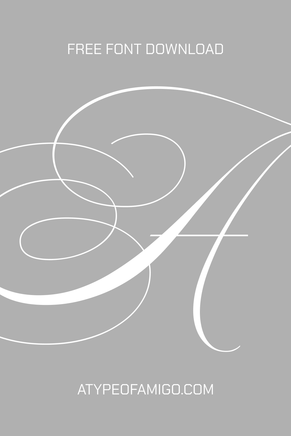 Elegant Script Fonts and Aesthetic Fonts for Free Font Download