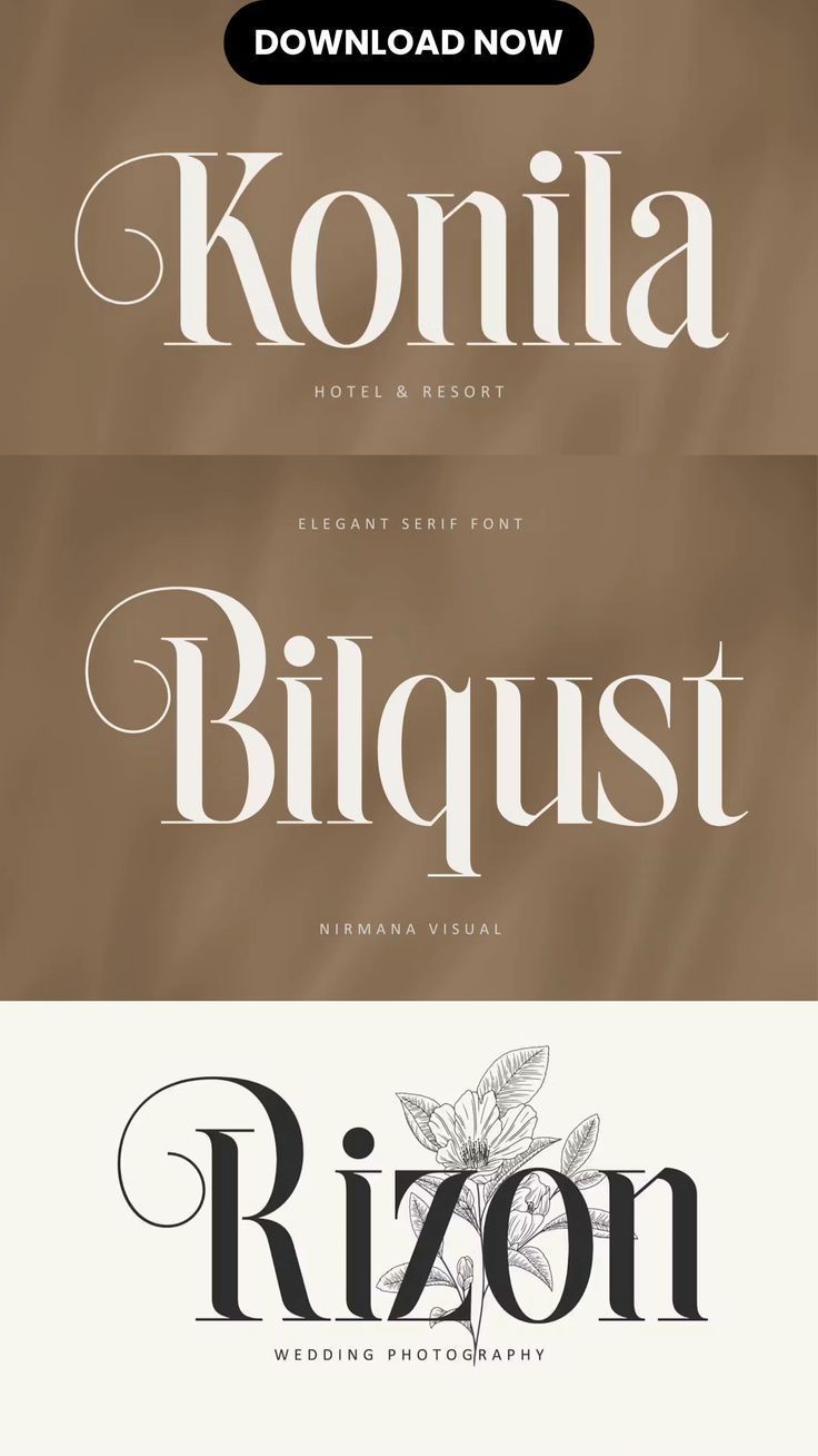 Bilqust — Elegant Serif | Creative Market✨