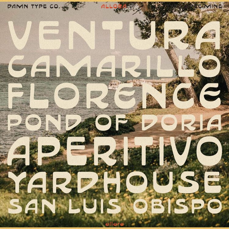 Font Shop — Damn Type Co.