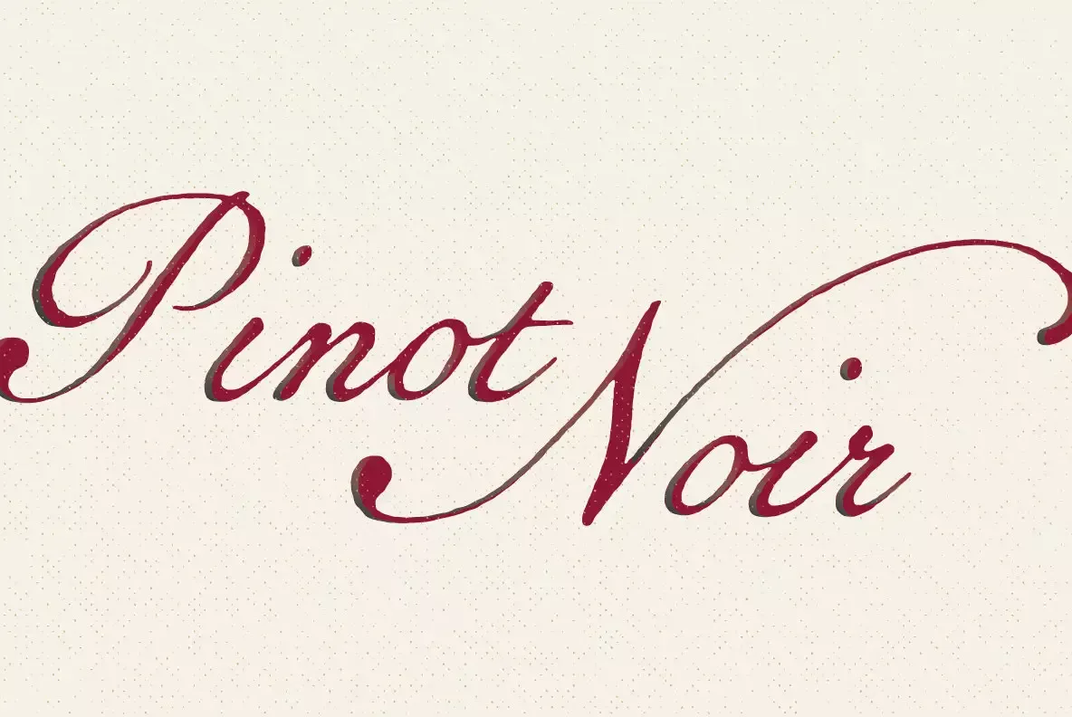 Geographica Script Font — YouWorkForThem