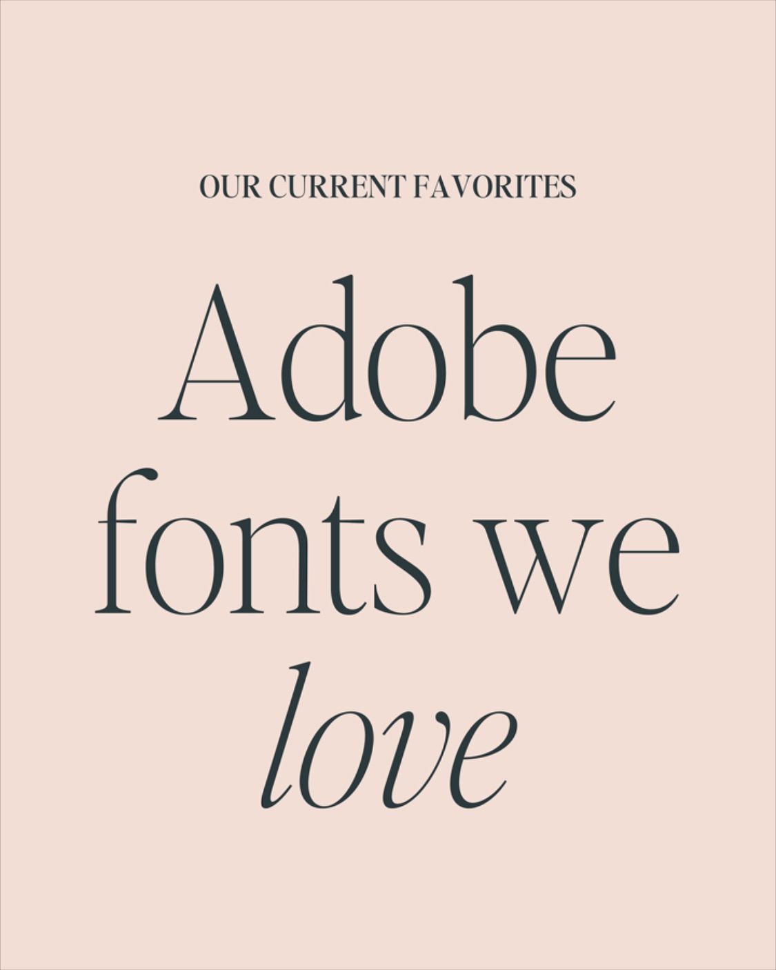 Timeless Sans Serif Fonts for Elegant Brand Identity🤗