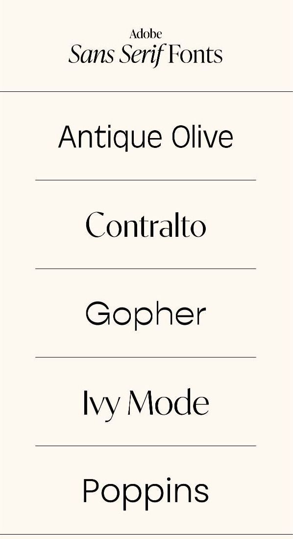 Stylish Boho & Elegant Calligraphy Fonts for Luxury Branding🤍🌟