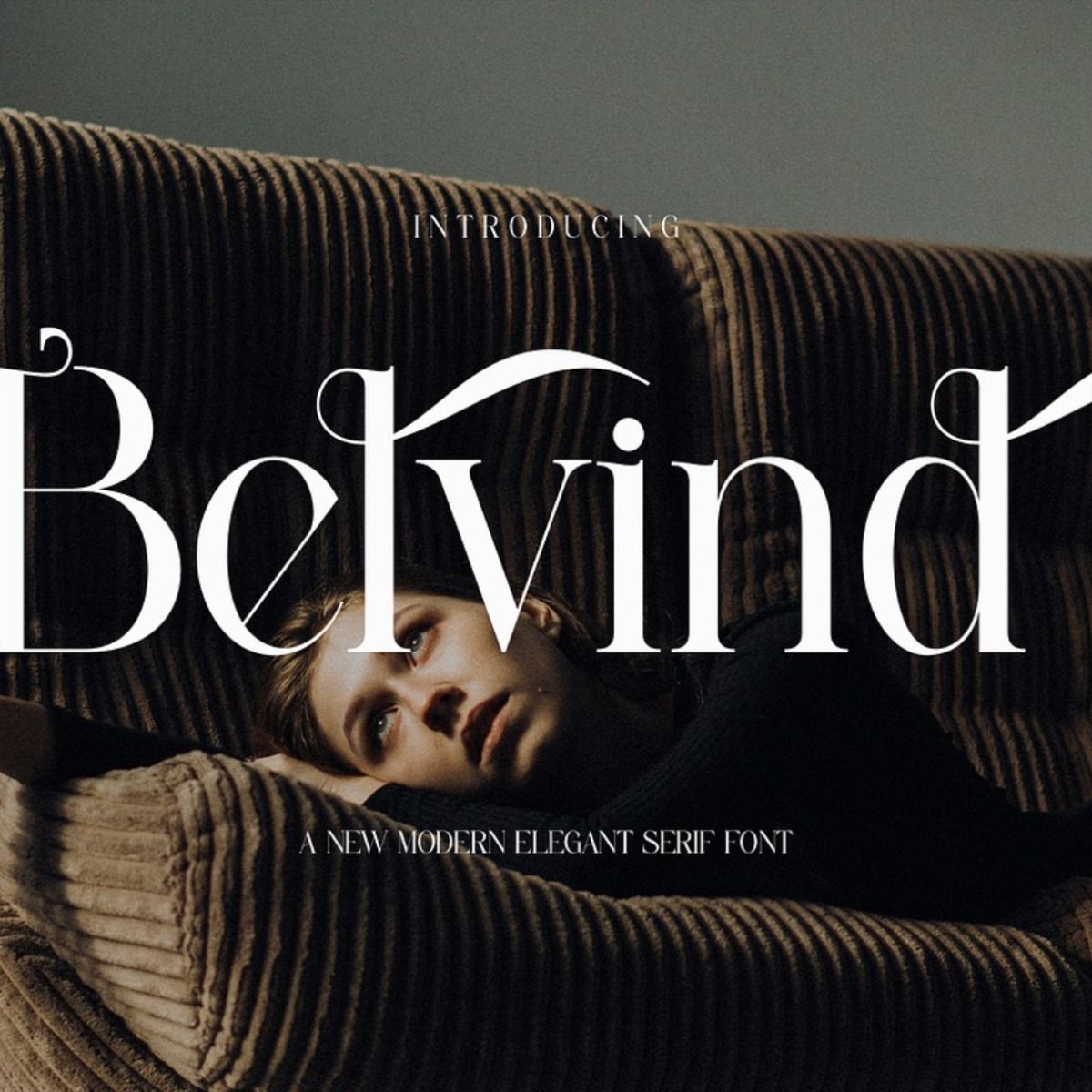 Belvind Modern Elegant Serif Font