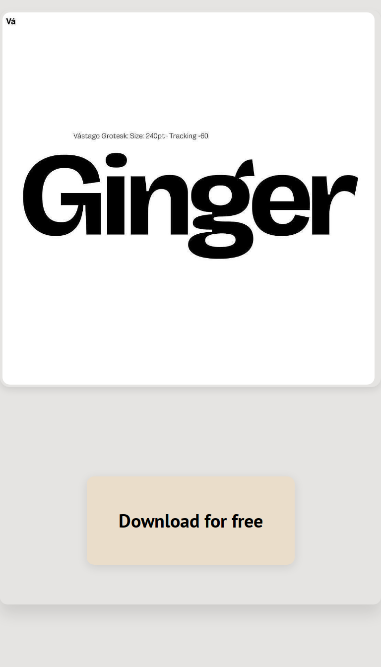 Elegant Serif Fonts: 2025’s Top Designs