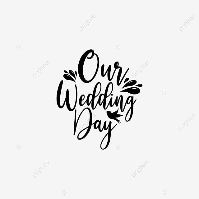 Our Wedding Day Quote Lettering Tyoography, Lettering, Illustration, Quote PNG