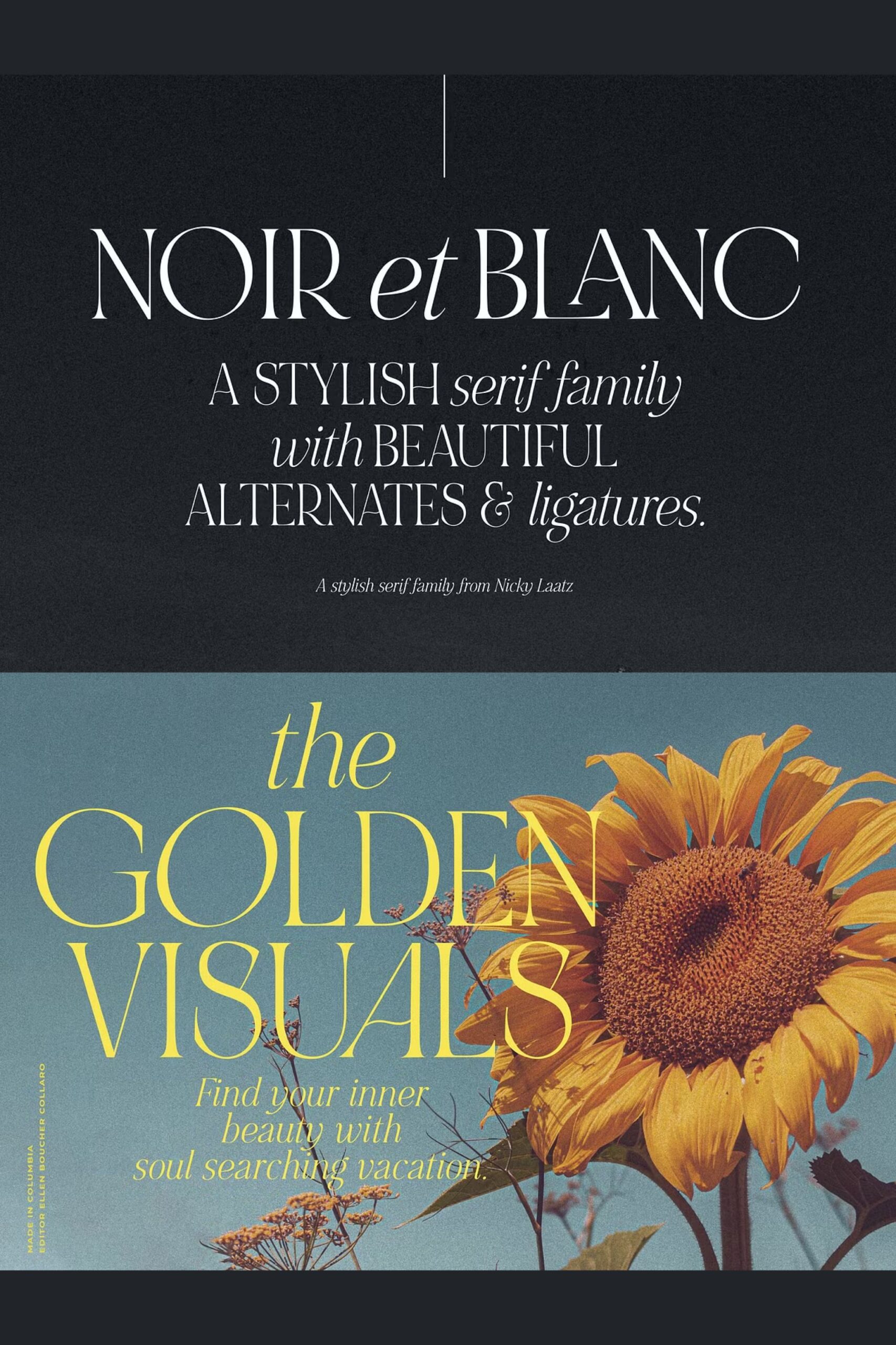 NOIR et BLANC Stylish Serif — Fancy fonts
