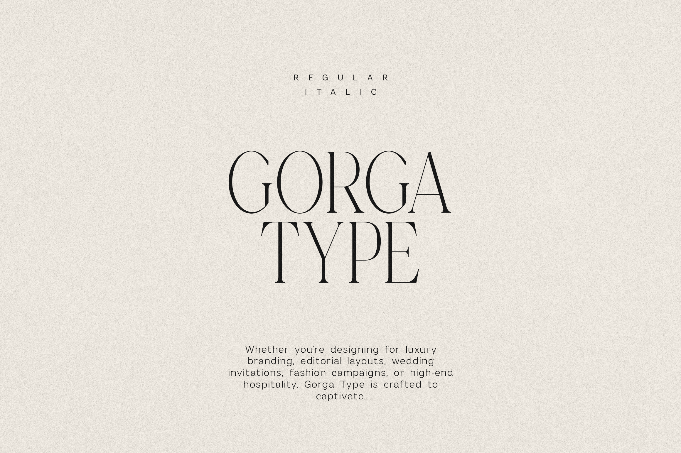 Get To Know My Type — Font Bundle by Vp Fonts | Creative Market
