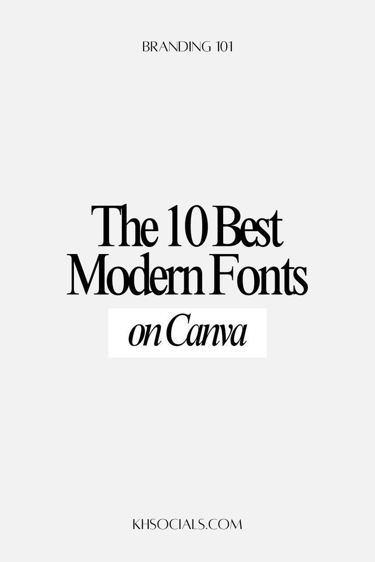 Elegant Serif Font for Web Design🔸