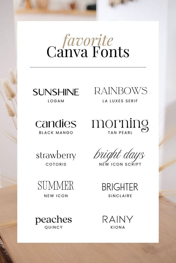 Typografie Inspiratie