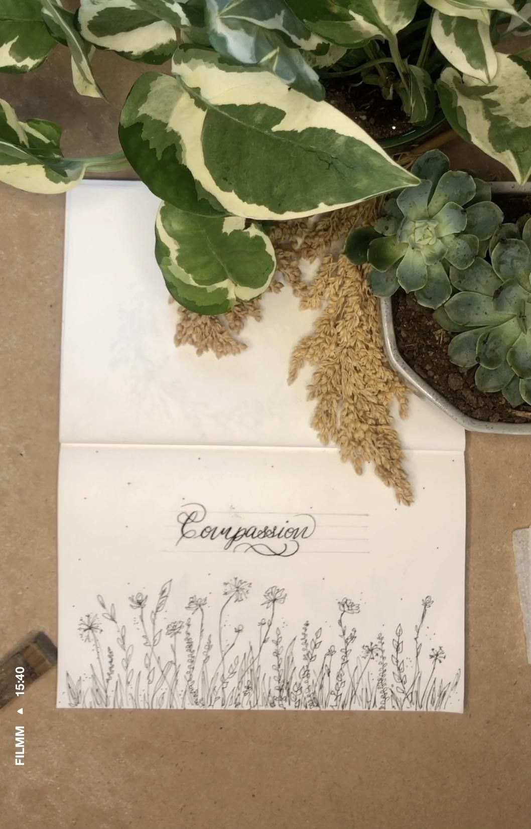 Pointed Pen Calligraphy — Compassion