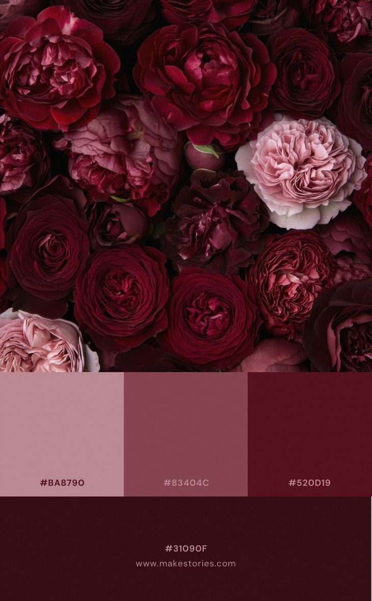Color palette inspiration