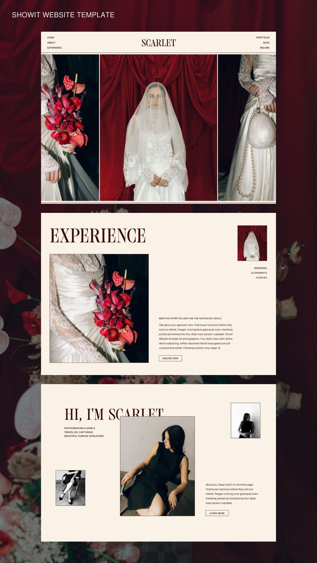 Bold Minimalist Website Templates for Photographers