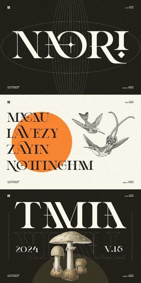 Best Modern Fonts for Minimalist Branding: Creative, Unique, Decorative Typography