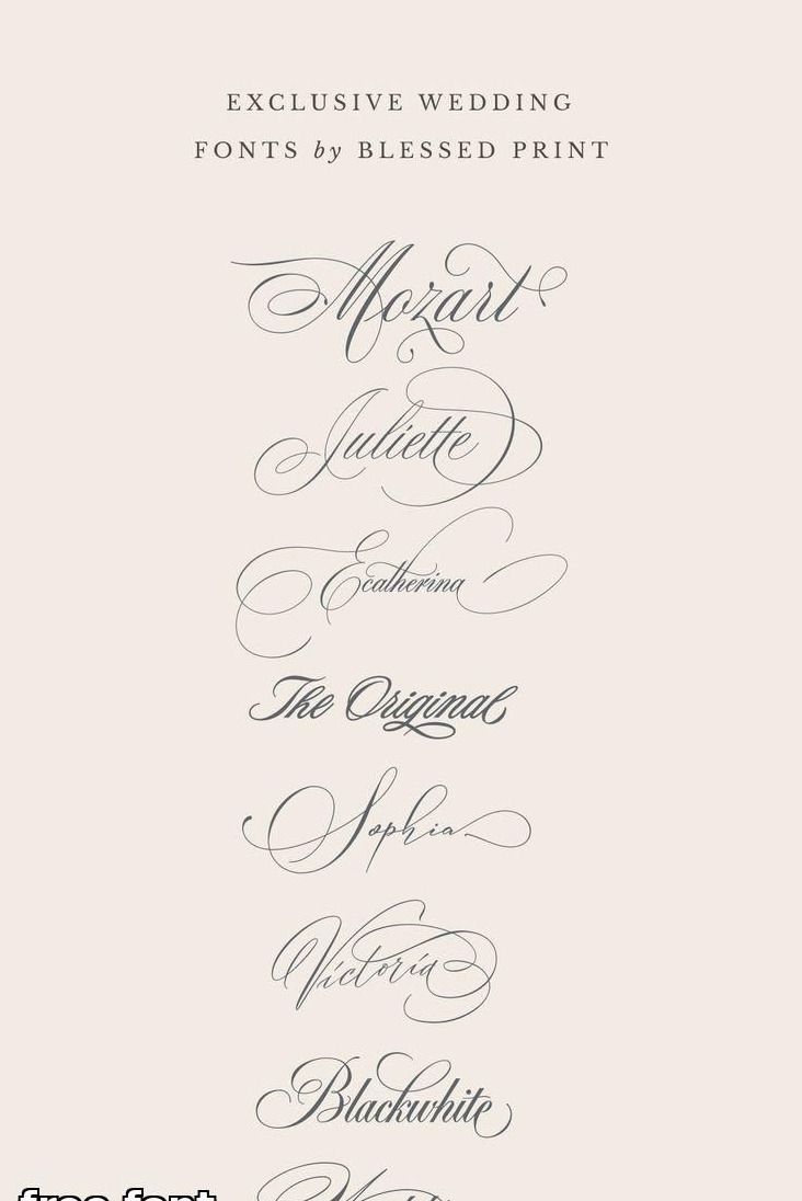 Épilogue — Naming & identité visuelle