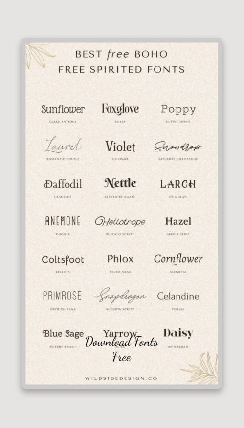 Elevate Your Designs: 10 Elegant Free Canva Fonts