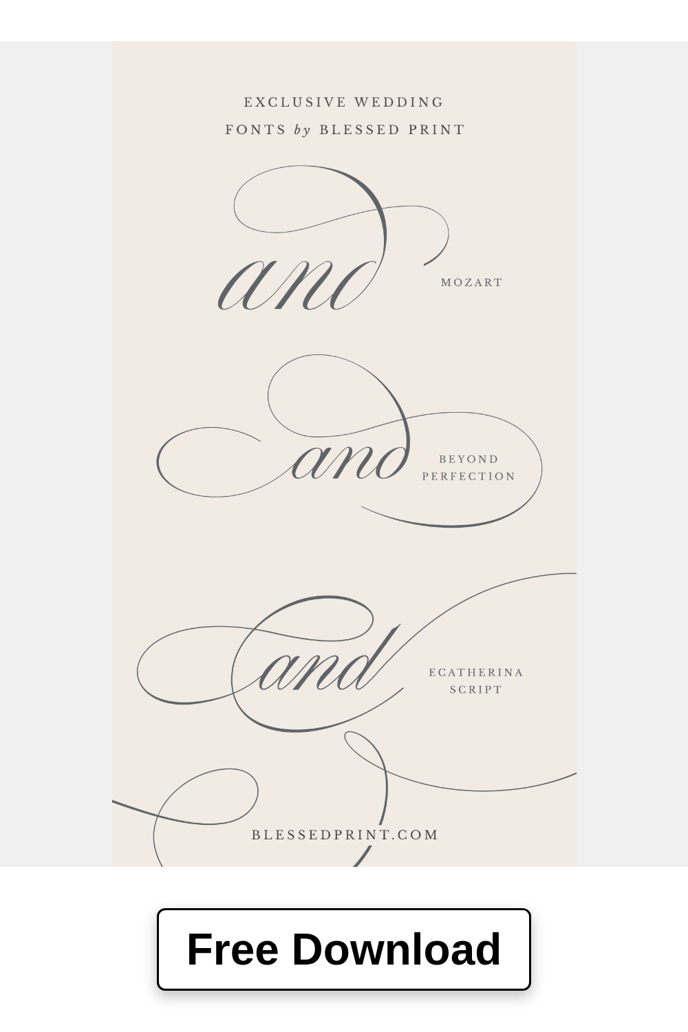 Best Calligraphy Fonts Side-by-Side