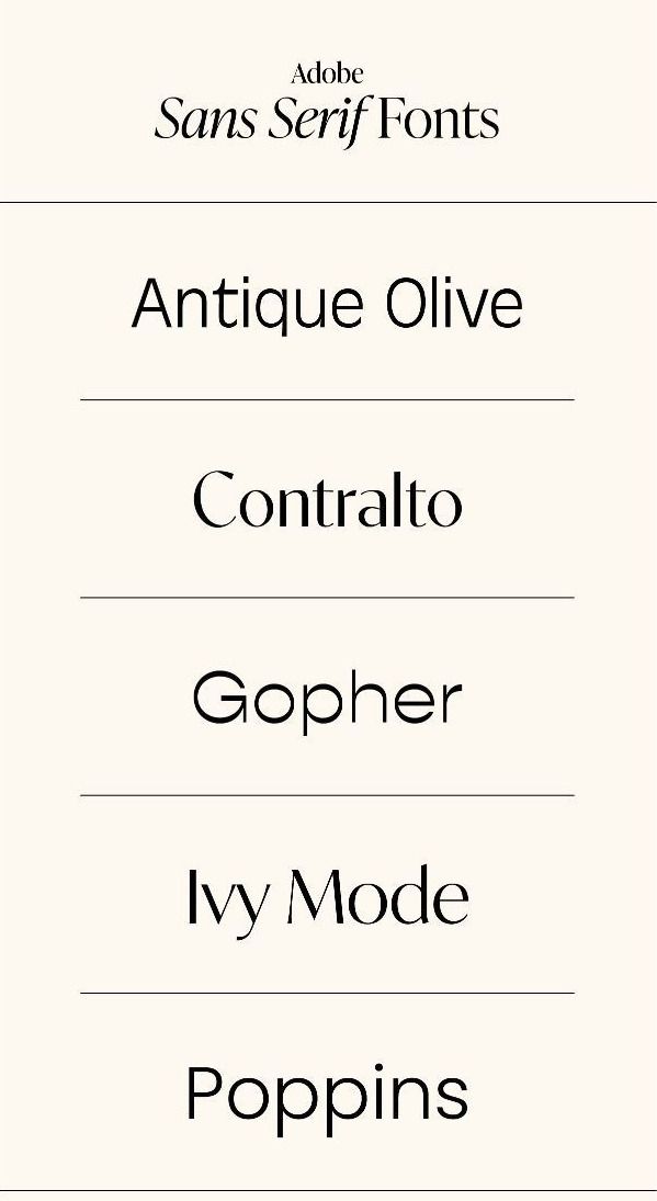 Stylish Boho & Elegant Calligraphy Fonts for Luxury Branding🤍🌟