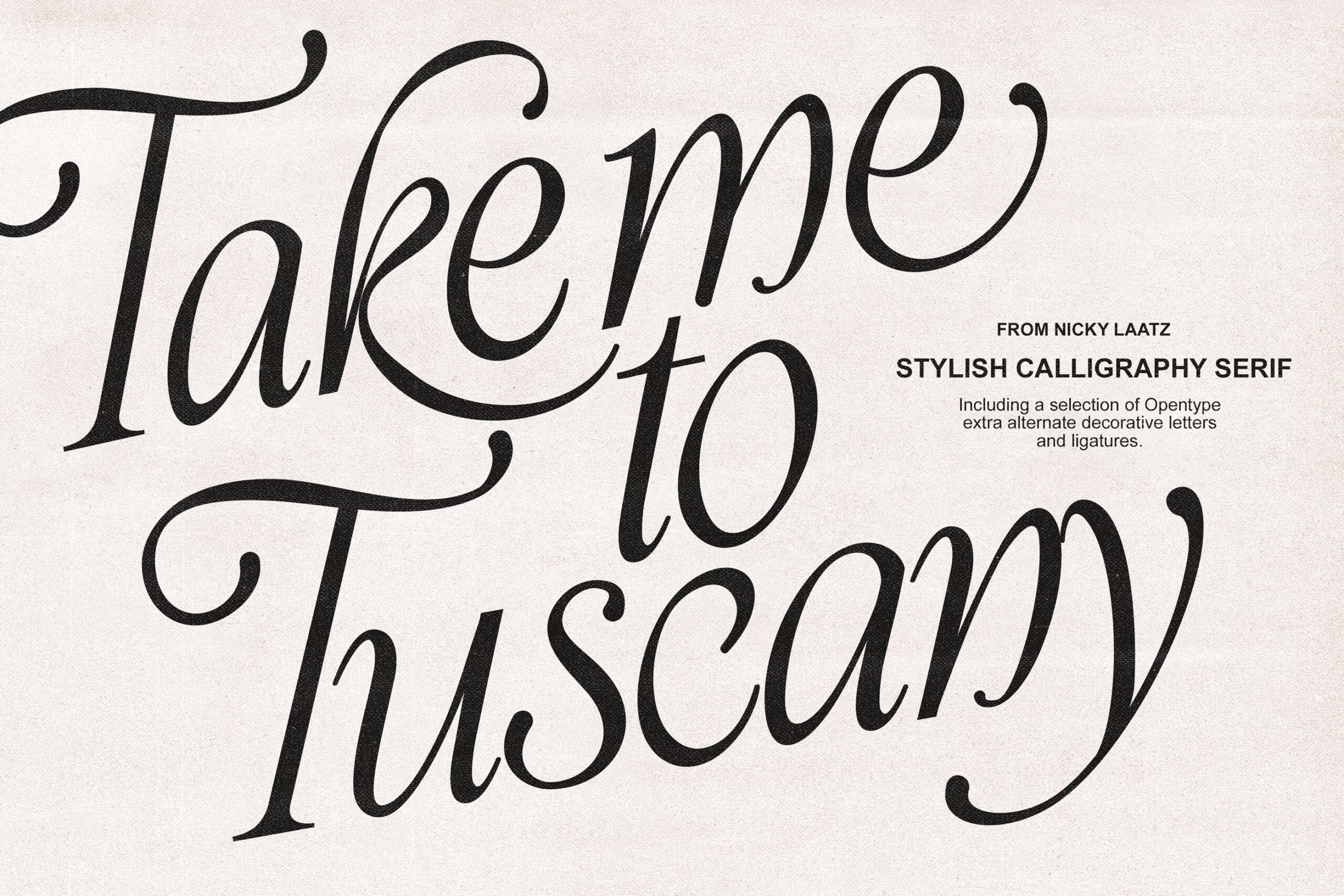 Take Me To Tuscany Typeface, a Script Font by Nicky Laatz