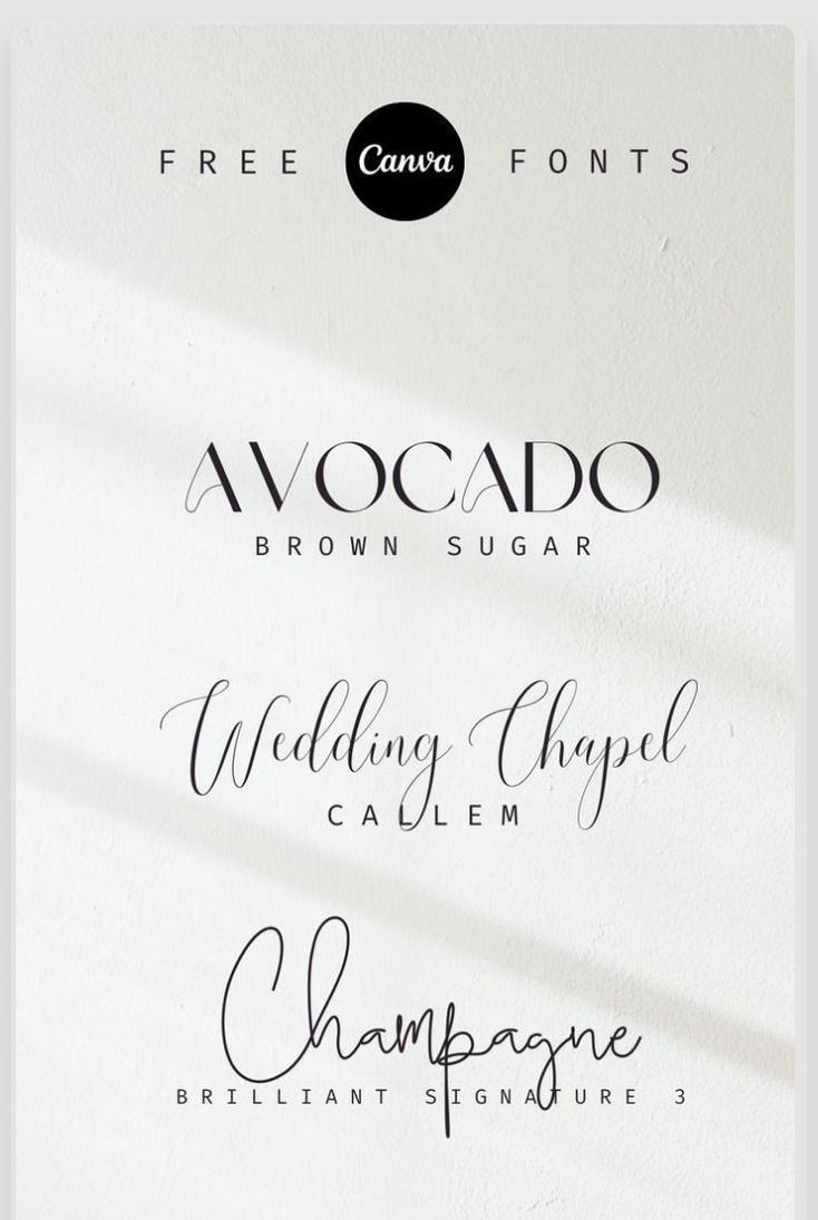 Wedding Fonts 2025 | 183113+ Stunning Wedding Fonts · Creative Fabrica in 2025 | Best free script f