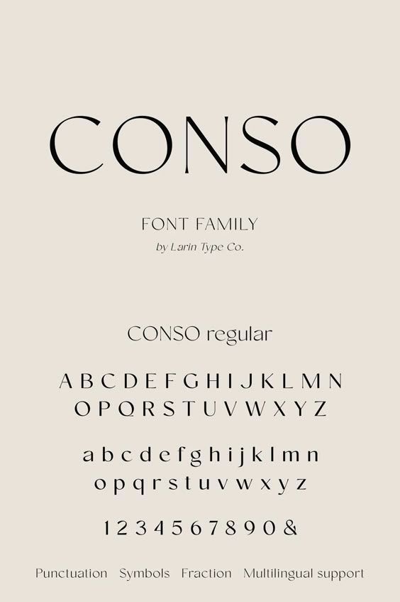 Conso | Font Family — Siteoutsite Luxury font #luxuryfont unique font
