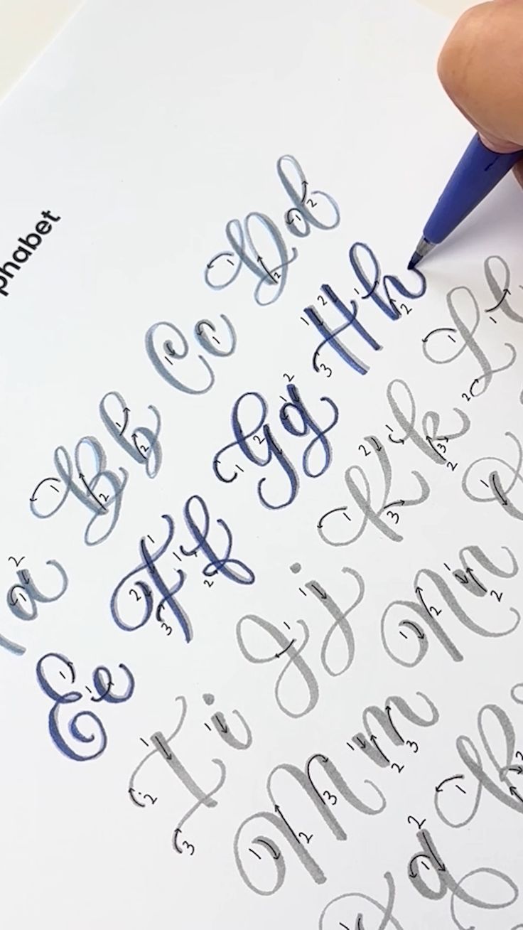 Calligraphy Alphabet Free Worksheet