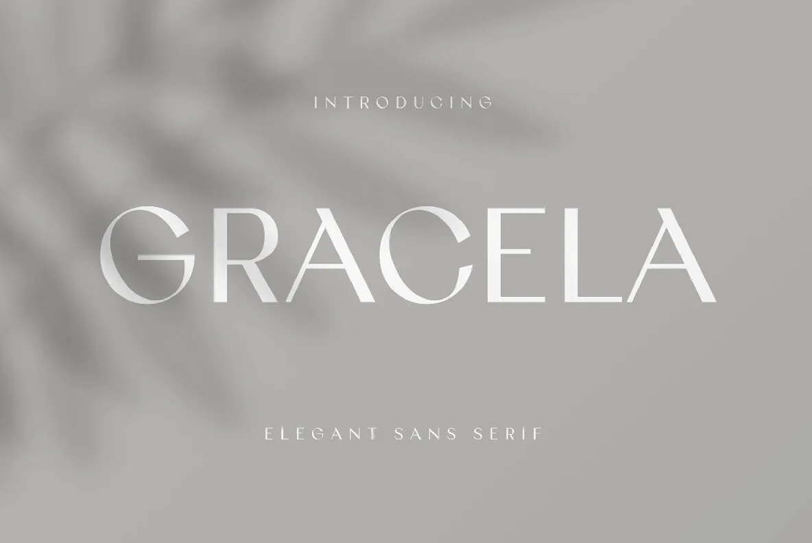 Gracela Font — YouWorkForThem