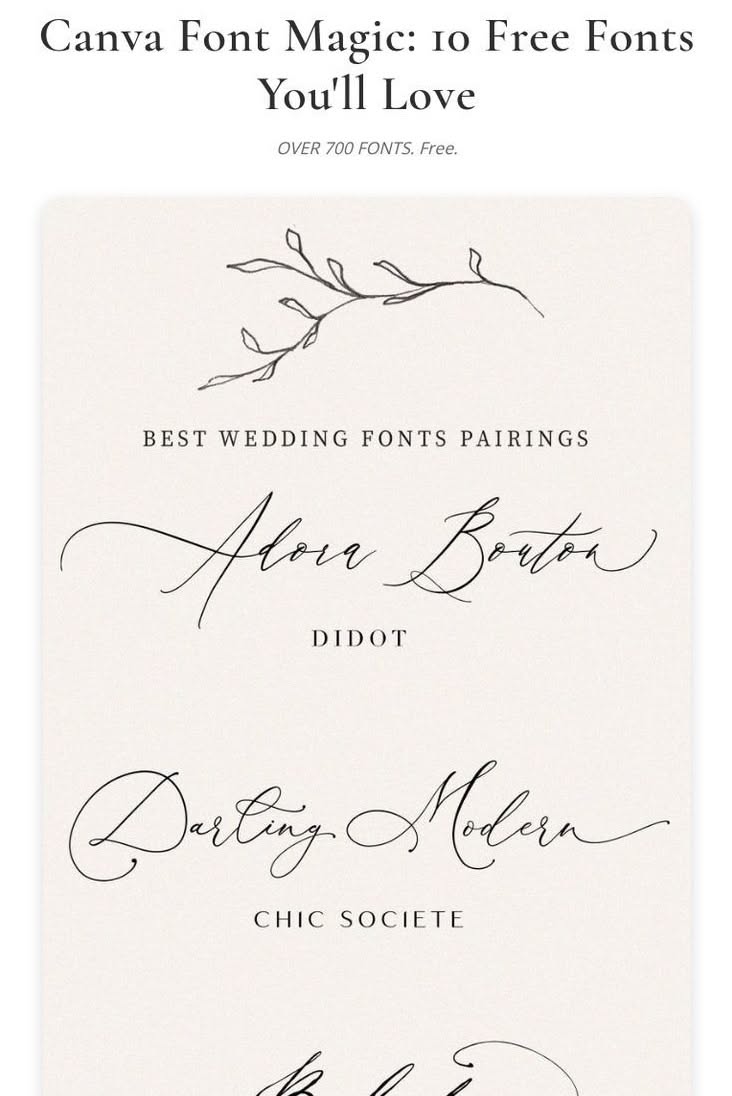 Canva Font Magic: 10 Free Fonts You’ll Love