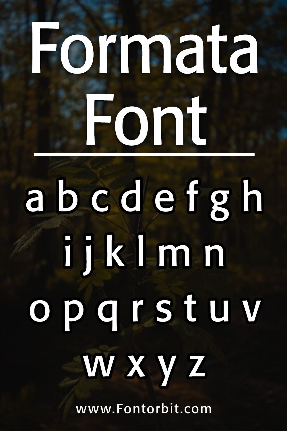 Formata Font
