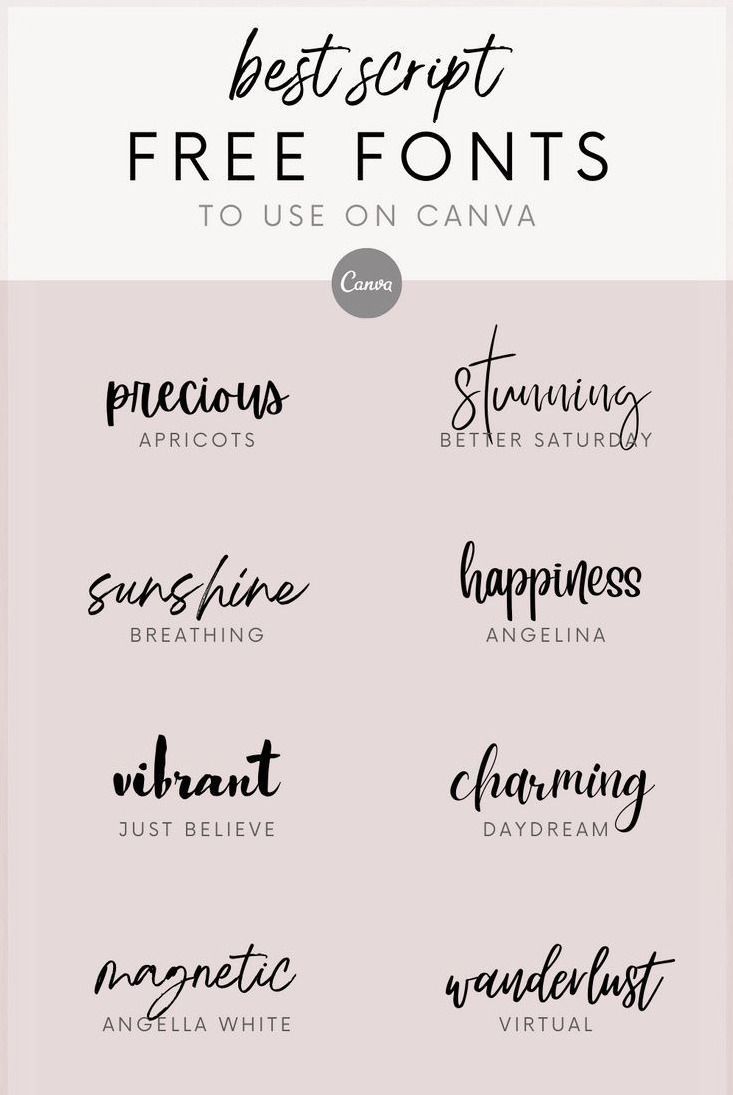 Canva Free Fonts Aesthetic — Best Handwritten Script Fonts on Canva — Fonts and Calligraphy