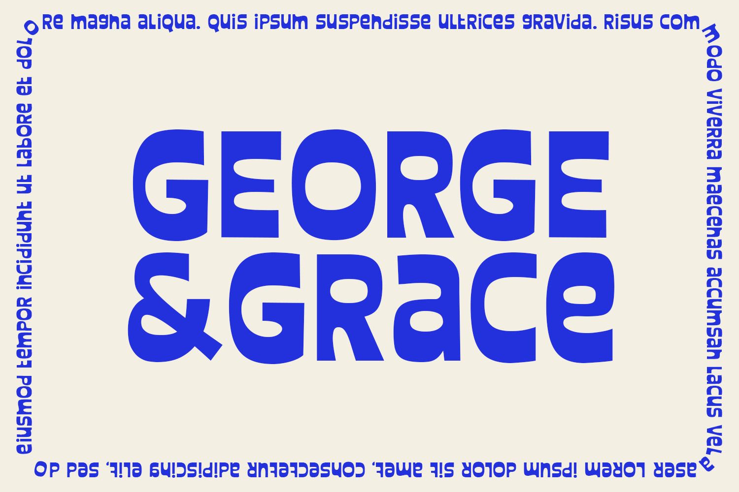 Shandy Molly — Display Font, a Handwritten Font by Viswell