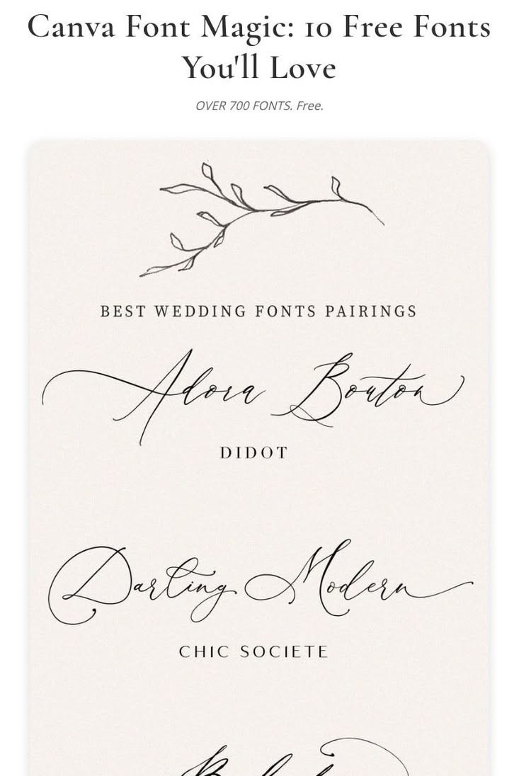 Canva Font Magic: 10 Free Fonts You’ll Love