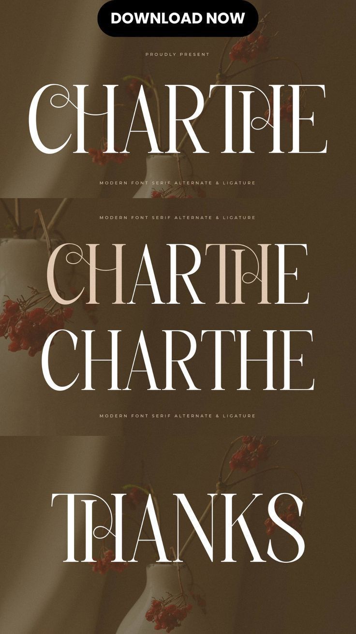 Charthe Font | Creative Fabrica🔸