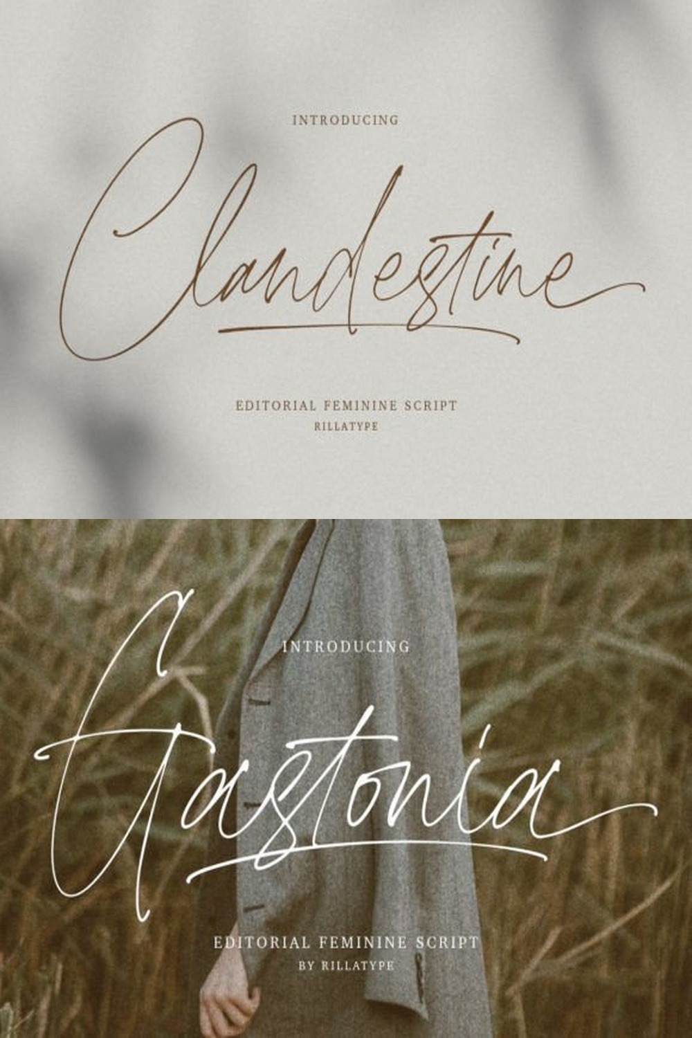 Clandestine Font: Elegant Editorial Script for Romantic Wedding Invitations