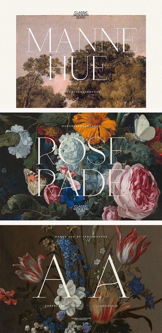 Manne — Modern Classic Font