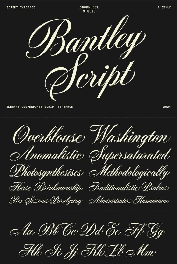 Elegant Script Font in 2025