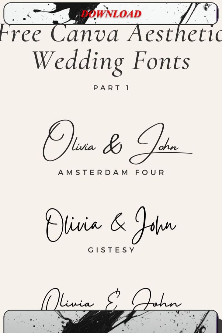 Blush Pink Wedding Invitations: Vellum, Wax Seal, Garden Elegance