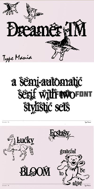Free Font for Websites: User-Friendly Typography